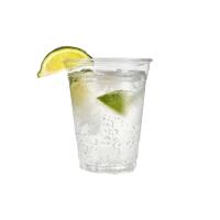 GIN tonic - Perfegg Borgopio Roma