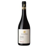 "IL VICARIO" Taurasi RISERVA DOCG- D'ANTICHE TERRE - Terroir Wine shop