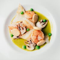 SEPPIE REALI - Giza Caffè Gelateria molfetta