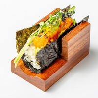 TE1 - Temakizushi vegetariano - Takiya Sushi casoria