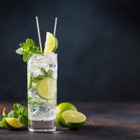 Mojito - Open E20