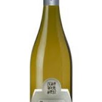 PINOT GRIGIO (JERMANN) - Piano - Susci Italiano