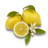 Limoncello - TradizionAle Food restaurant