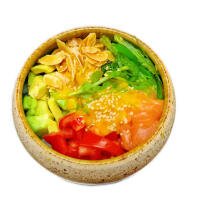 P01 - POKE SALMON - Takiya Sushi casoria