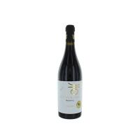 "CINQUENOCI" PRIMITIVO- TAGARO - Terroir Wine shop