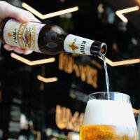 BE14 - BIRRA KIRIN 33CL - Takiya Sushi casoria