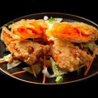 2 - HARUMAKI 2PZ - Takiya Sushi casoria