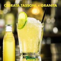 Cedrata Tassoni con granita limoni - QUEENS CAFFÈ BISTROT