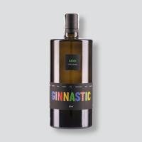Ginastic - Nicolaus Club La Giurlita