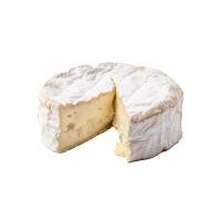 Brie Francese - Demo Caseificio