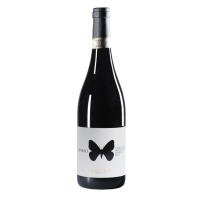 MONTEPULCIANO D'ABRUZZO COLLINE TERAMANE DOCG- AUSONIA - Terroir Wine shop