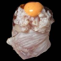 GUNKAN BRANZINO FLAMBE - ASAKA SUSHI