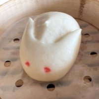 150 Yutu bao 2PZ - SHINKO SUSHI