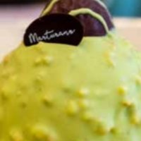 Roche pistacchio - SHINKO SUSHI