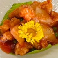 210 Pollo in agrodolce - SHINKO SUSHI