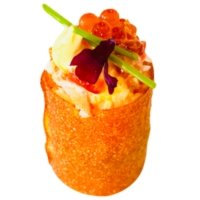 413 Stile gunkan 2PZ - SHINKO SUSHI