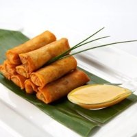 Involtini di primavera - MOJI Sushi Portici