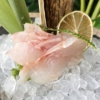 Sashimi suzuki - Moko Sushi