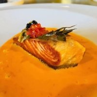 Salmon Zucca - Ikura Sushi Sorrento