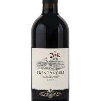 ANTINORI TENUTA BOCCA DI LUPO – TRENTANGELI CASTEL DEL MONTE ROSSO DOC 2019 - ANTICA VINERIA AVANGUARDISTA