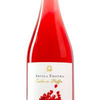 ANTICA ENOTRIA - DAUNIA CONTESSA STAFFA 2024 IGT - ANTICA VINERIA AVANGUARDISTA