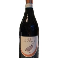 SORÍ DELL PERNICE - BARBERA D’ALBA DOC 2021 - ANTICA VINERIA AVANGUARDISTA