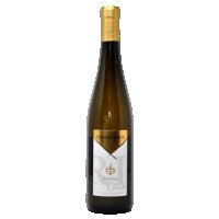 STRASSERHOF WEINGUT - GRUNER VALTLINER DOC 2021 - ANTICA VINERIA AVANGUARDISTA