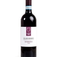 AZIENDA AGRICOLA PLATINETTI - BARBERA PIELEO 2019 - ANTICA VINERIA AVANGUARDISTA