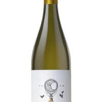 MARCO PORELLO - MOSCATO D’ASTI 2024 DOCG - ANTICA VINERIA AVANGUARDISTA