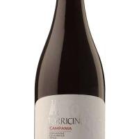 TORRICINO - ROSSO AGLIANICO IGT 2022 - ANTICA VINERIA AVANGUARDISTA