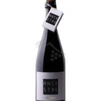 PISAN BATTEL - ANCESTRE DOSAGGIO ZERO - ANTICA VINERIA AVANGUARDISTA