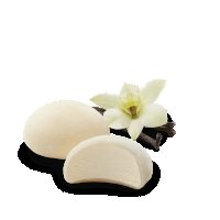 Mochi ice cream - Vaniglia - Yummy Poke