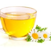 camomilla - Lido Fulgor