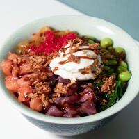 Tiburon - Tiburon Roma 1