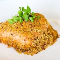Filetto di salmone in crosta di nocciole - Demo ristorante