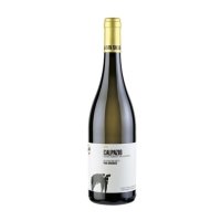 CALPAZIO IGP - Monréal Lounge&BurgerBar