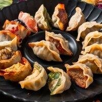 Goyza Manzo e Verdure - HIBI POKE