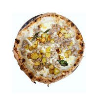 Contadina - Nicolosi php