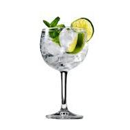 Gin Tonic - PrimeQuerce Menù