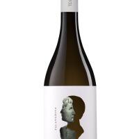 TEANUM OTRE - CHARDONNAY - Sponzami