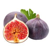 Fichi - TradizionAle Food restaurant