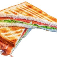 Peter crudo - PeterLand Arco Felice