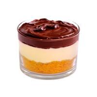 CHEESECAKE ALLA NUTELLA - SGARRO O NO?