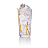 Gin Tonic Special - IL TEATRO DEL GUSTO