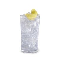 Gin Tonic - IL TEATRO DEL GUSTO