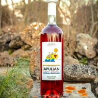 2x - APULIAN WINE PUNCH 100CL - Riempitori di bicchieri