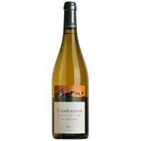 viognier - CHÂTEAU CAMPLAZENS - Terroir Wine shop