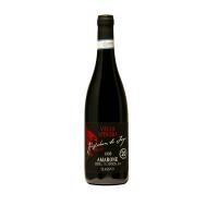 AMARONE DELLA VALPOLICELLA DOC GUGLIELMO DI JAGO- VILLA SPINOSA - Terroir Wine shop