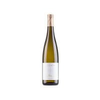 "moriz" Pinot bianco DOC- TRAMIN - Terroir Wine shop