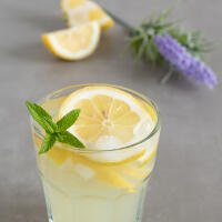 Vodka lemon - O figlio do macellar